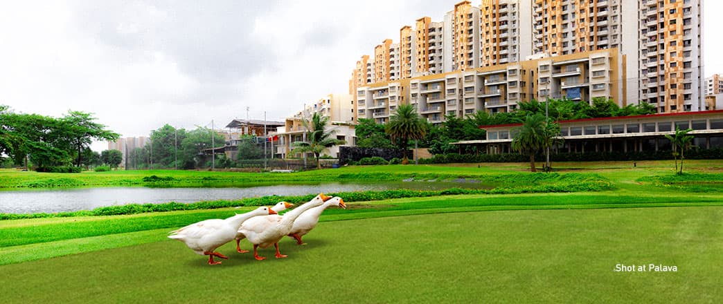 Palava Aquaville Series