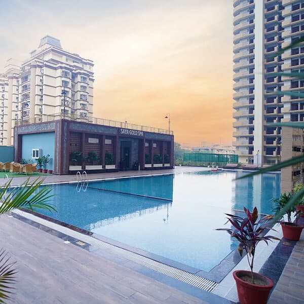 Saya Gold Avenue