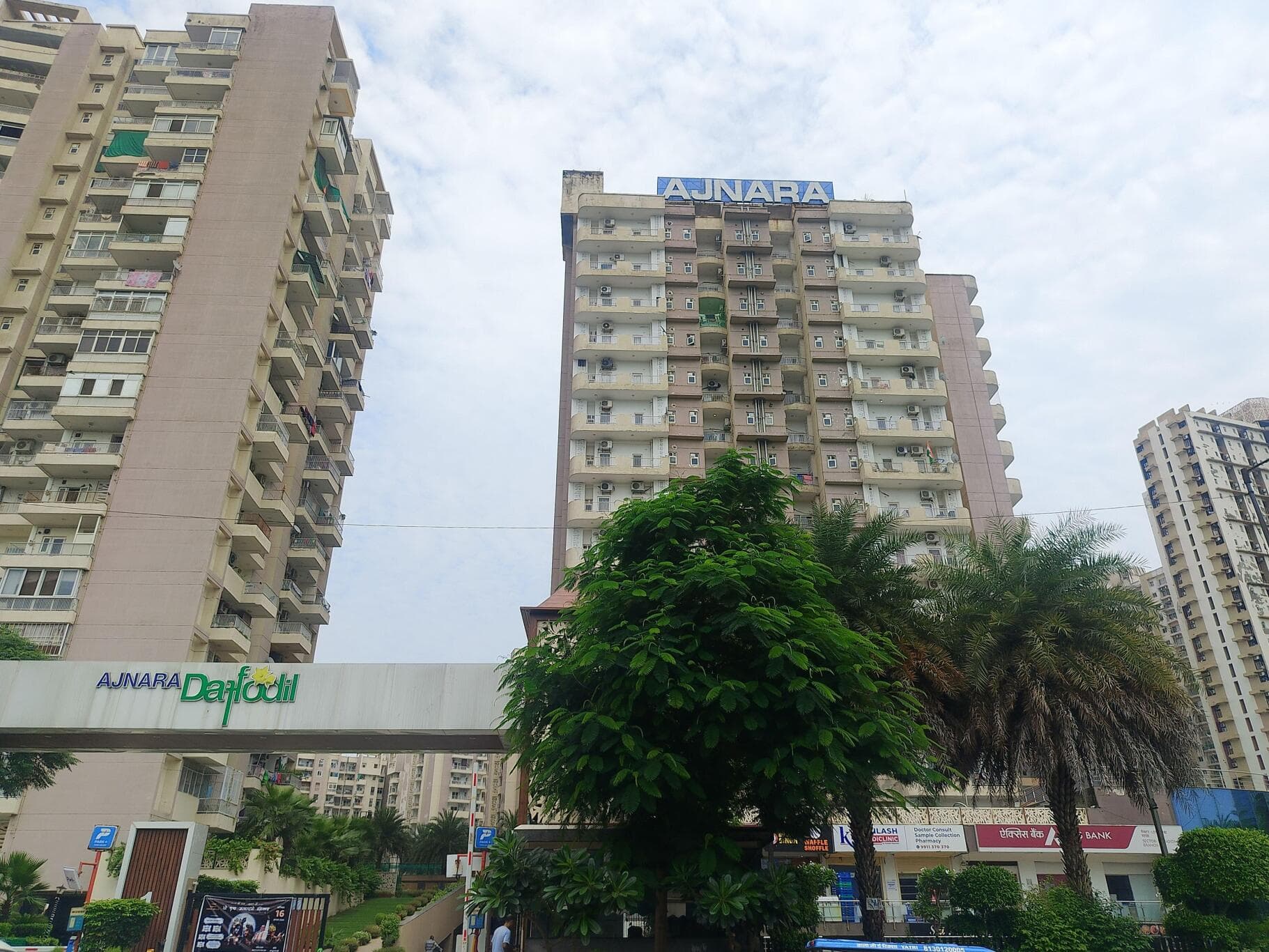 Ajnara Daffodil 555 sqft 1 RK/Studio Apartment for Sell in Ajnara Daffodil, Sector 137, Noida