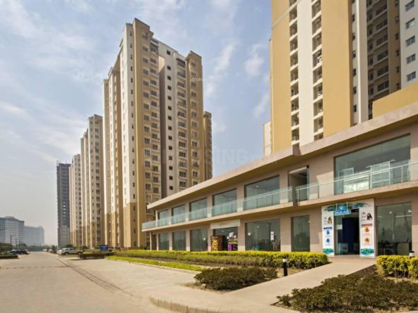 3BHK-Paras Tierea