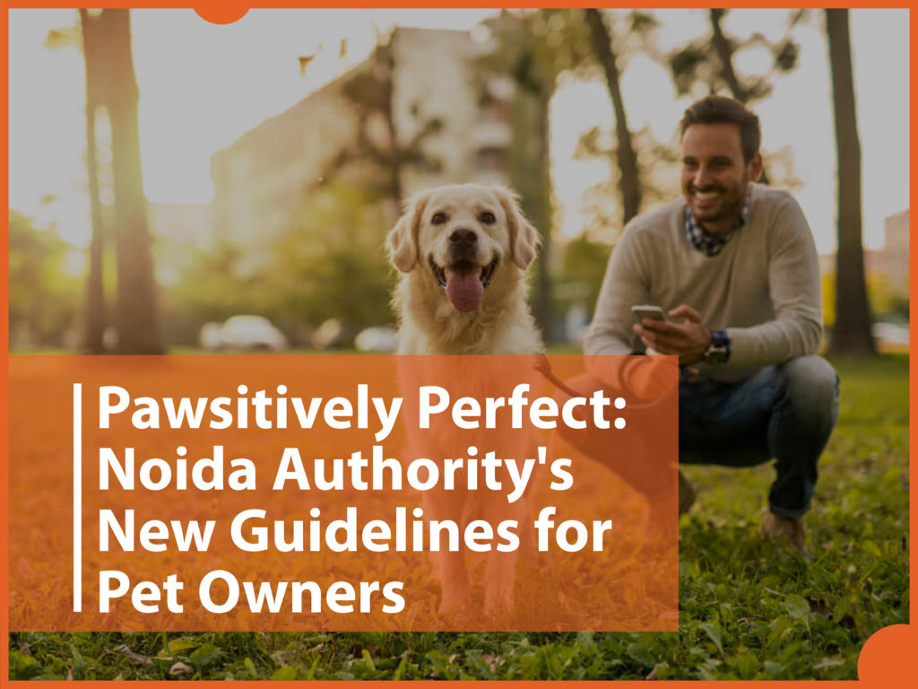 Every Pet Owner in Noida Must Read: Noida Authority Establishes Guidelines for Residents Who Own Pets