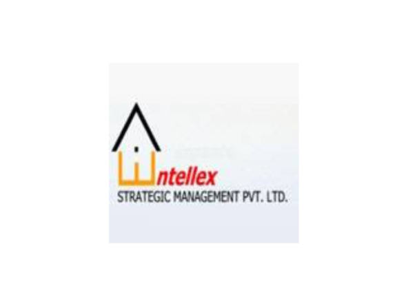 Intellex Strategic Management Pvt Ltd