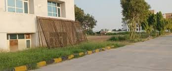 245 Sq. Meter Residential Plot for Sale in Sector 43, Noida